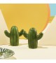 Klevering - Sel et poivre cactus