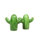 Klevering - Sel et poivre cactus