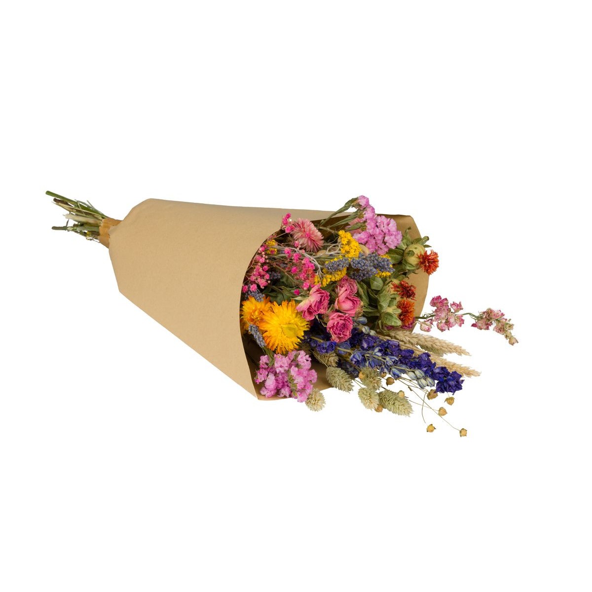 Plantophile | Bouquet de fleurs séchées
