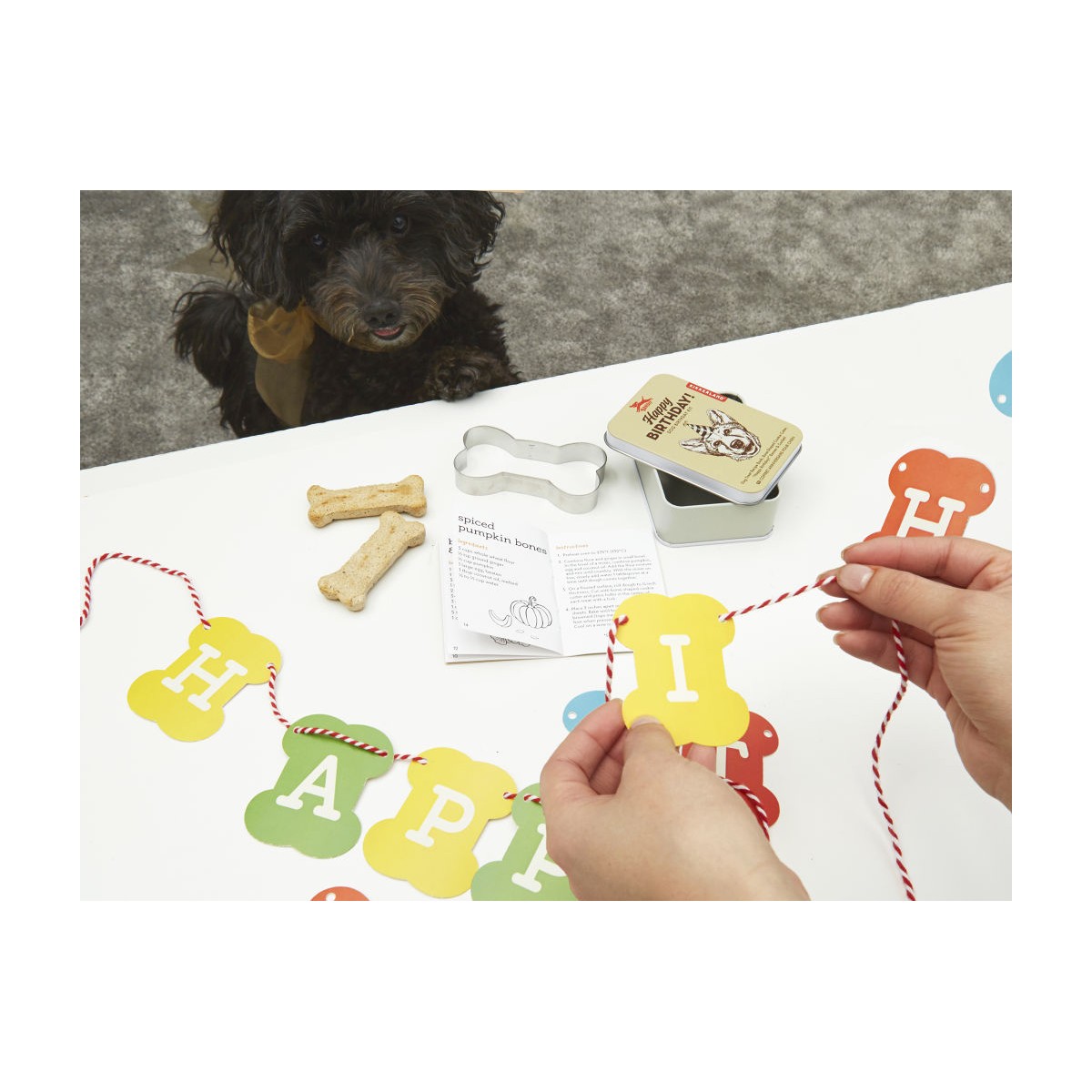 Kikkerland - Kit anniversaire chien