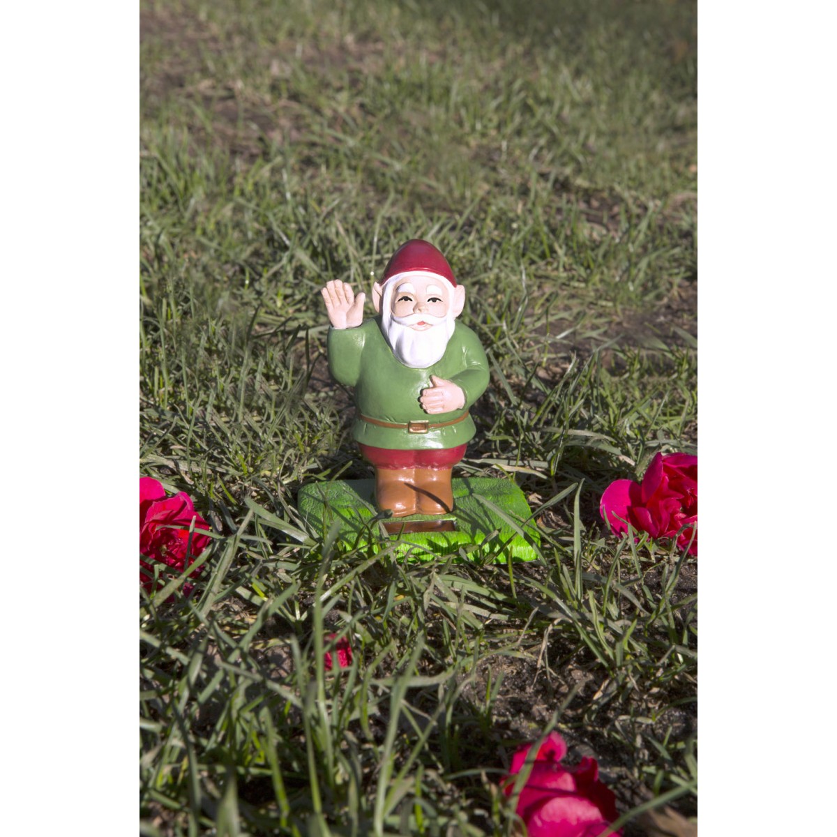 Kikkerland - Nain solaire