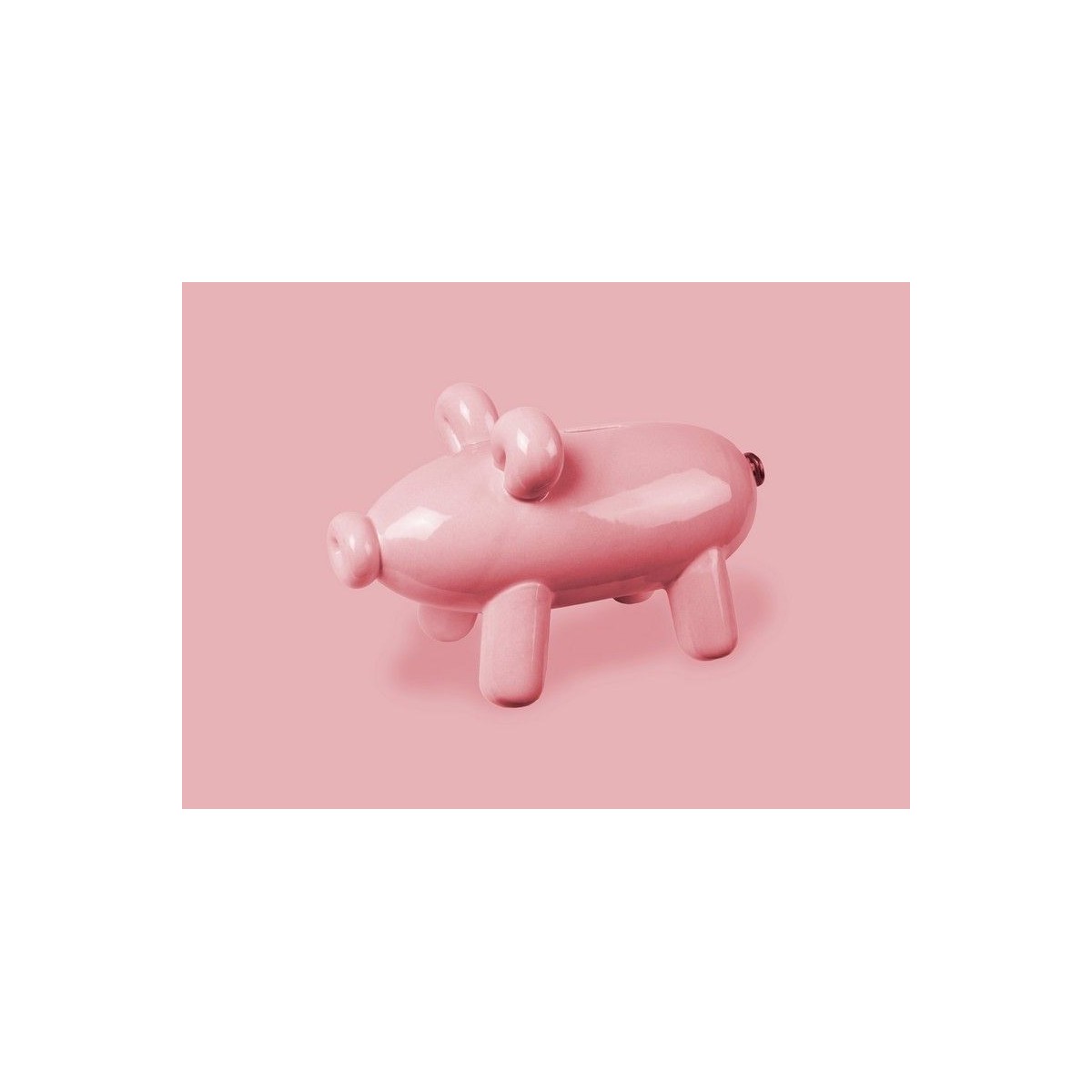 FISURA - Tirelire cochon