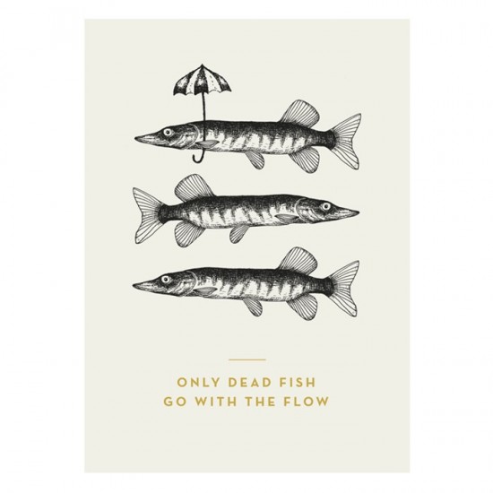 Timi - Carte Only dead fish