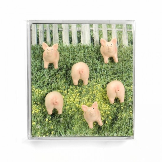 PA Design - Magnets petits cochons