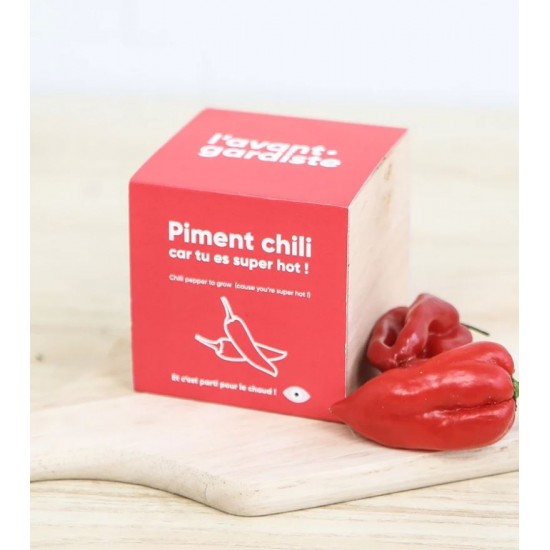 L'Avant Gardiste - Ecocube maman marguerites 2