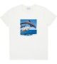 Bask in the sun - T-shirt blanc dauphins