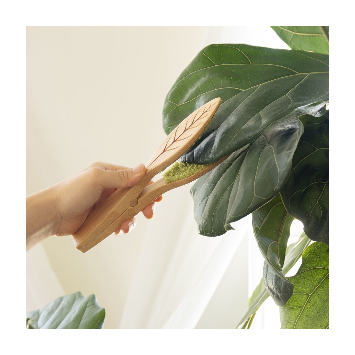 Kikkerland - Porte brosses à dents grenouille