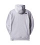 THE NORTH FACE - Sweat gris