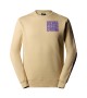 THE NORTH FACE - Sweat Mountain beige