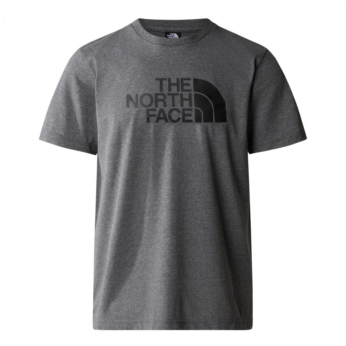 THE NORTH FACE - T-shirt Easy gris