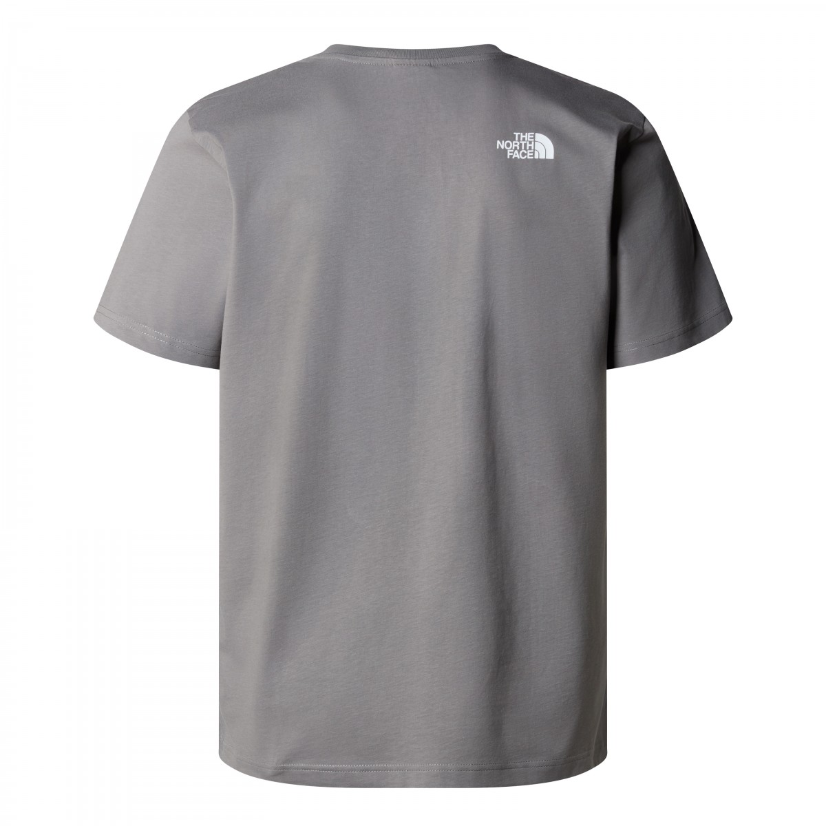 THE NORTH FACE - T-shirt Mountain Play gris
