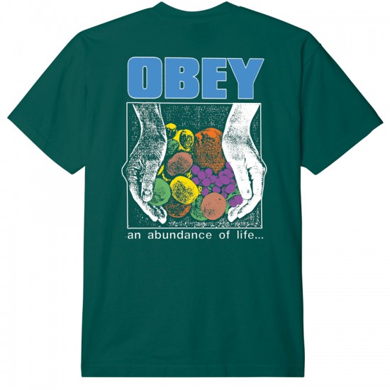 OBEY - T-shirt Abundance of Life vert