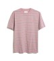 FARAH - T-shirt rayé rose et bleu