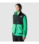 THE NORTH FACE - Veste polaire Denali