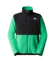 THE NORTH FACE - Veste polaire Denali