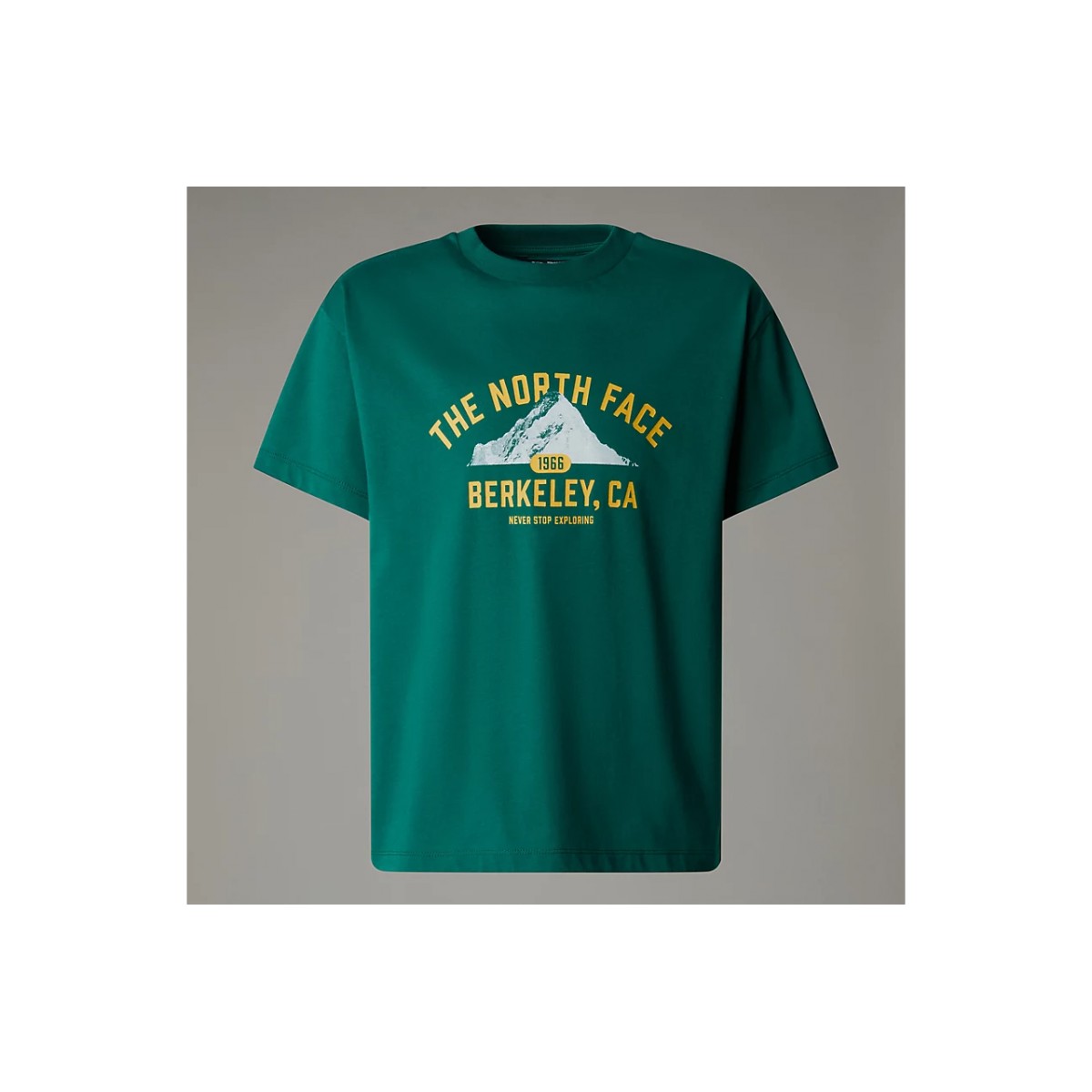 THE NORTH FACE - T-shirt noir