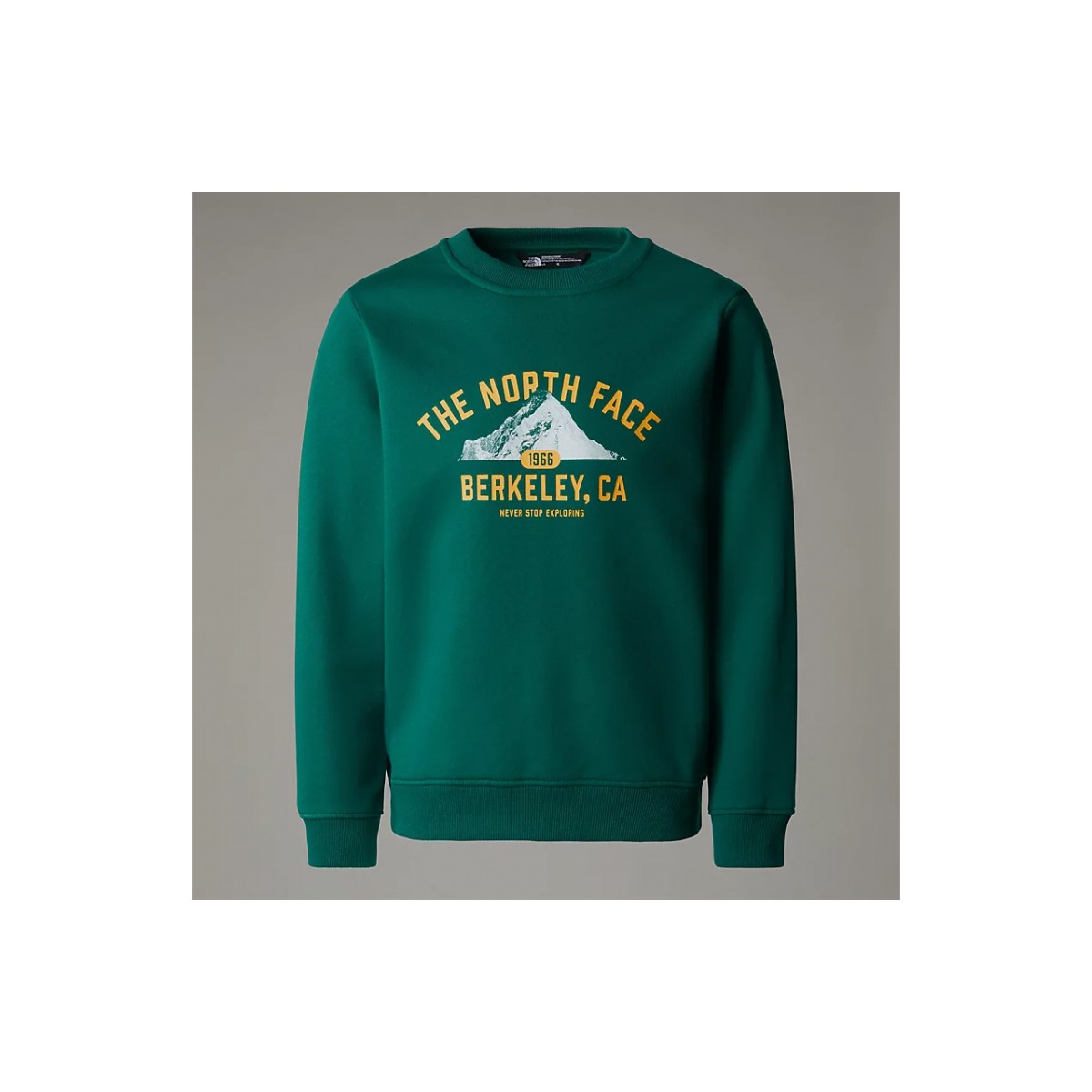 THE NORTH FACE - Sweat enfant vert