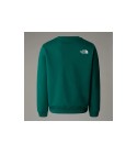 THE NORTH FACE - Sweat enfant vert