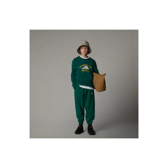 THE NORTH FACE - Sweat enfant vert 2