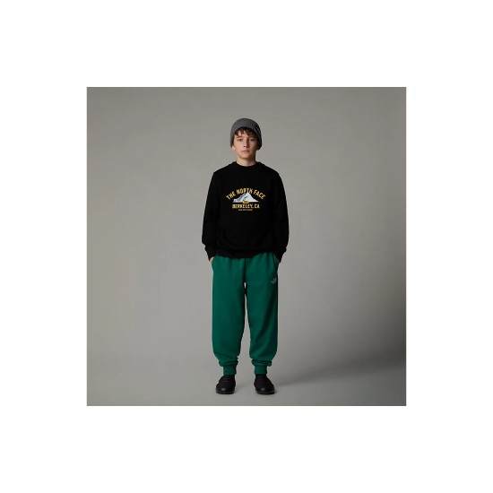 THE NORTH FACE - Sweat enfant noir 2