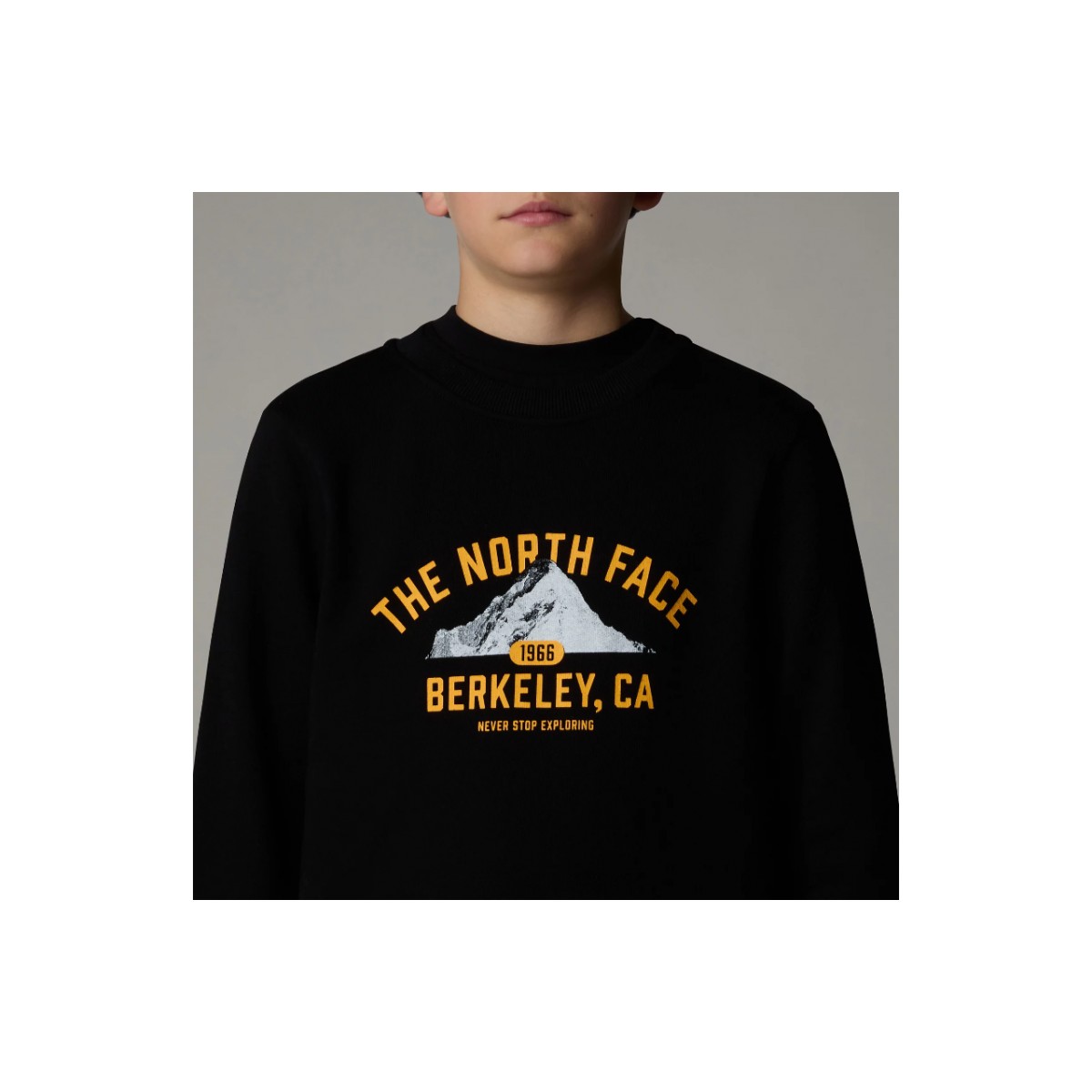 THE NORTH FACE - Sweat enfant noir