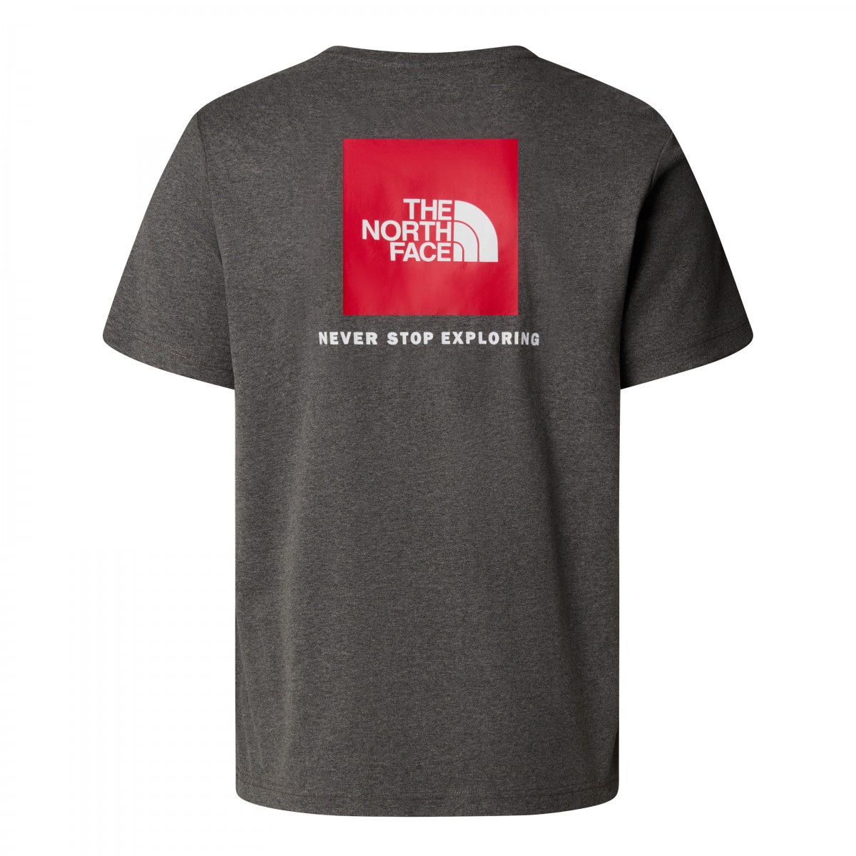 THE NORTH FACE - T-shirt RedBox gris chiné