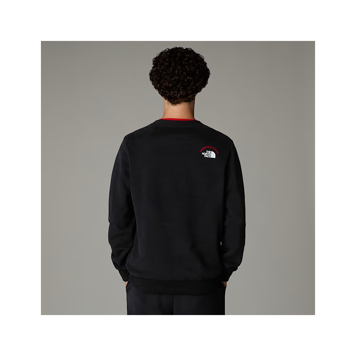 THE NORTH FACE - Sweat noir sérigraphié