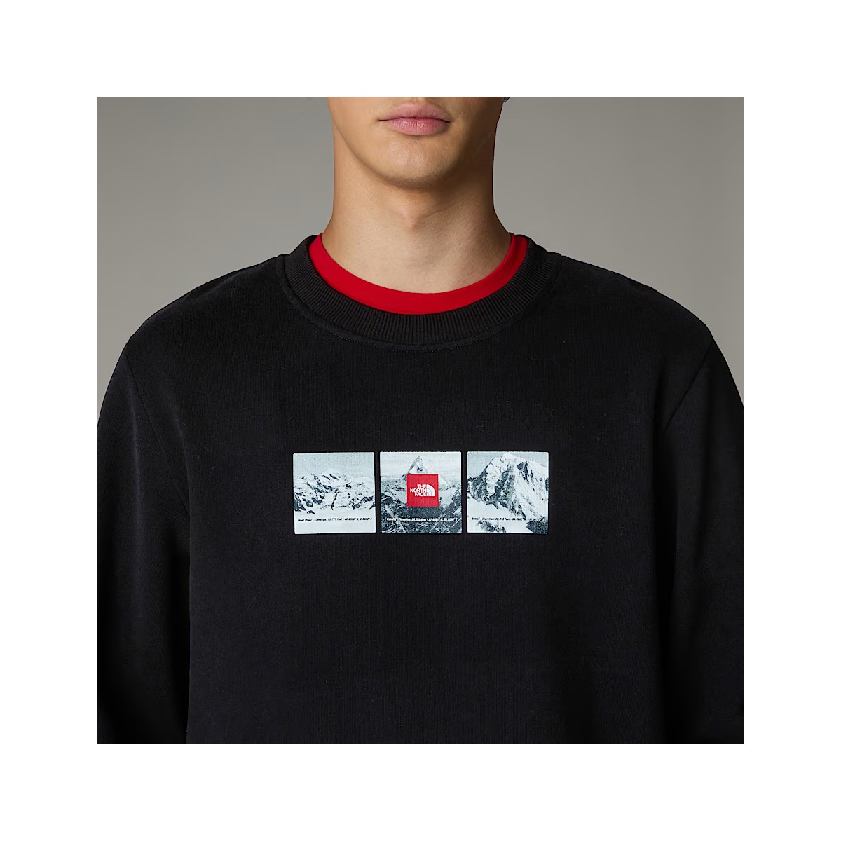 THE NORTH FACE - Sweat noir sérigraphié