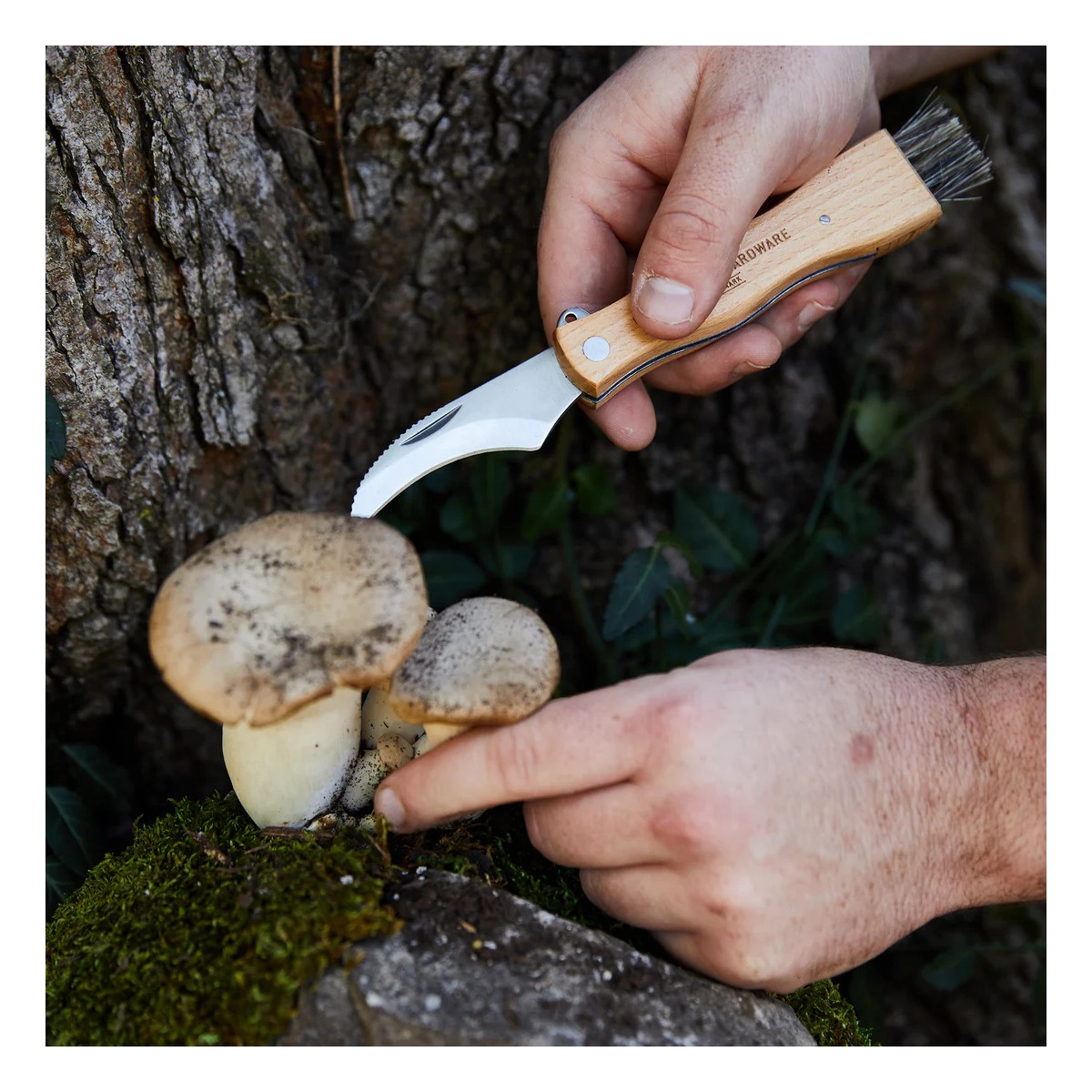 Gentlemen's Hardware - Couteau pour champignons