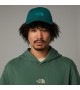 THE NORTH FACE - Casquette verte