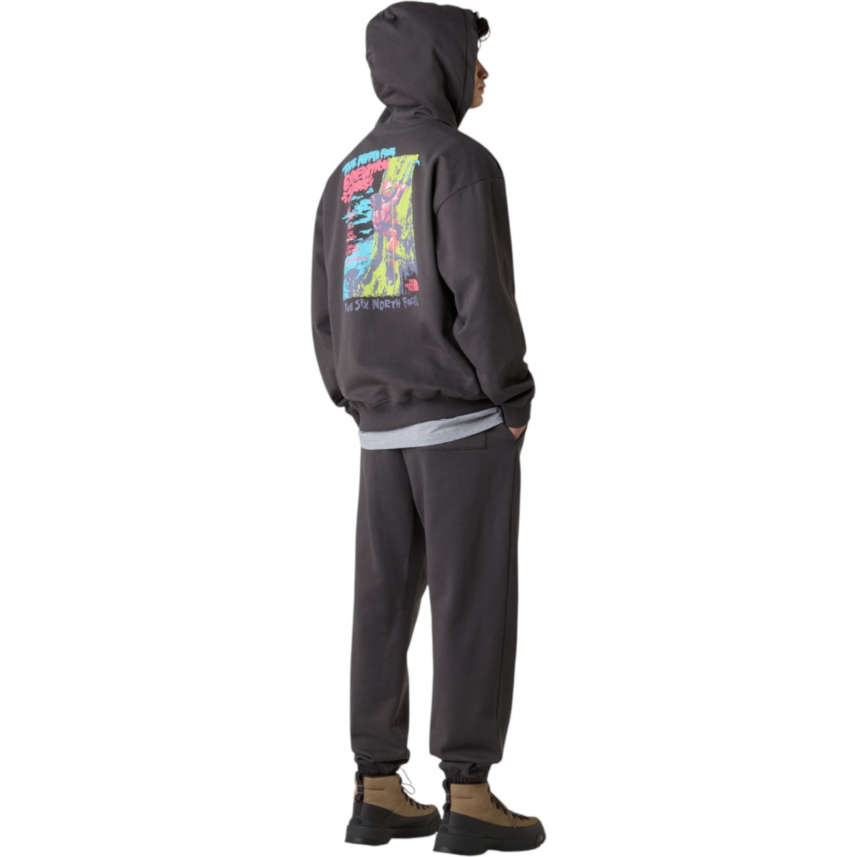 THE NORTH FACE | Sweat a capuche anthracite unisexe