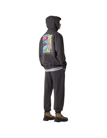 THE NORTH FACE | Sweat a capuche anthracite unisexe