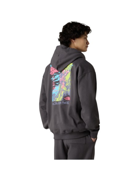 THE NORTH FACE | Sweat a capuche anthracite unisexe