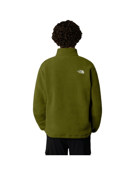 THE NORTH FACE | Polaire verte homme