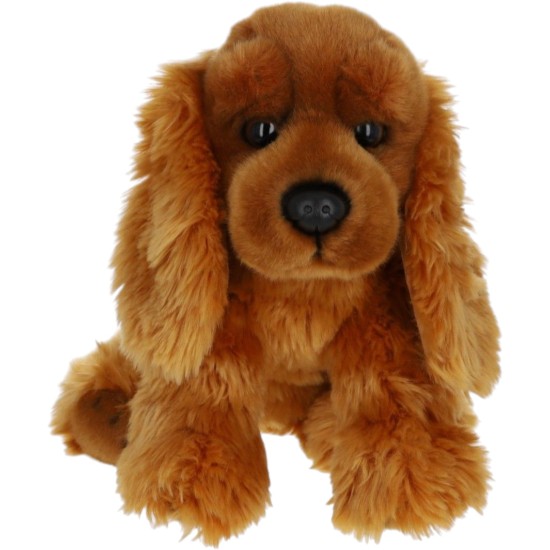 Le petit souk| Peluche chien cocker