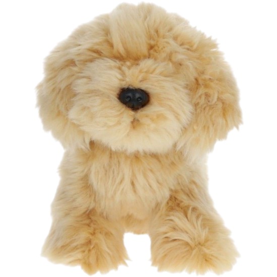 Le petit souk| Peluche chien cavapoo