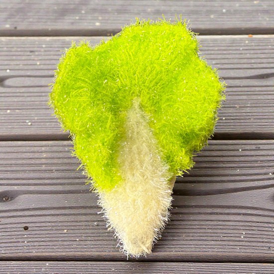 Joli Poom - Eponge laitue